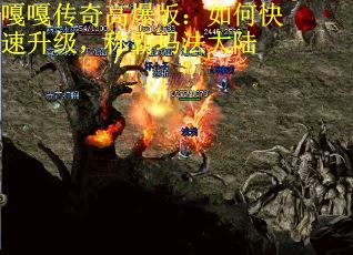 嘎嘎传奇高爆版：如何快速升级，称霸玛法大陆