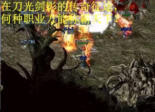 在刀光剑影的传奇征途，何种职业方能称霸天下？