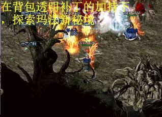 在背包透明补丁的加持下，探索玛法新秘境
