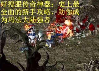 好搜服传奇神器：史上最全面的新手攻略，助你成为玛法大陆强者