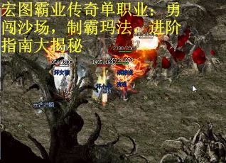 宏图霸业传奇单职业：勇闯沙场，制霸玛法，进阶指南大揭秘