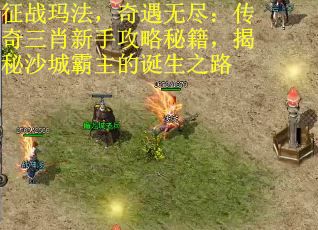 征战玛法，奇遇无尽：传奇三肖新手攻略秘籍，揭秘沙城霸主的诞生之路