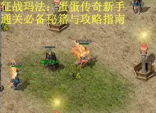 征战玛法：蛋蛋传奇新手通关必备秘籍与攻略指南
