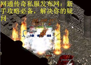 网通传奇私服发布网：新手攻略必备，解决你的疑问