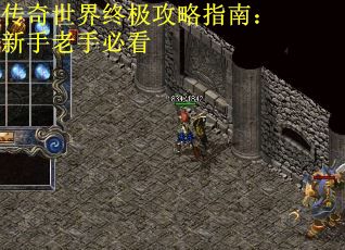 传奇世界终极攻略指南：新手老手必看