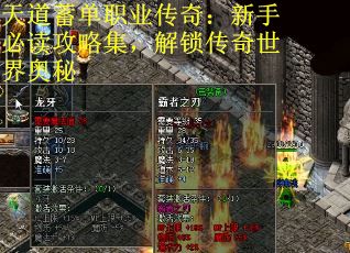 天道蓄单职业传奇：新手必读攻略集，解锁传奇世界奥秘