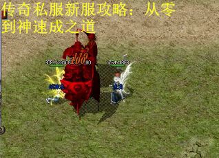 传奇私服新服攻略：从零到神速成之道
