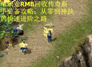 单职业RMB回收传奇新手必备攻略：从零到神技的快速进阶之路