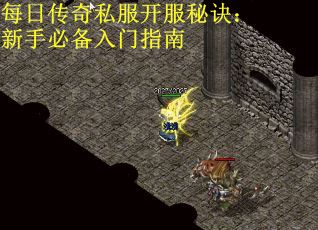 每日传奇私服开服秘诀：新手必备入门指南