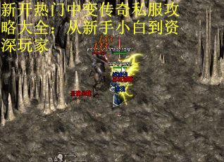 新开热门中变传奇私服攻略大全：从新手小白到资深玩家