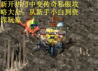 新开热门中变传奇私服攻略大全：从新手小白到资深玩家