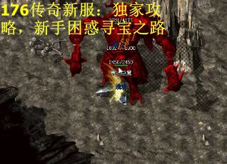 176传奇新服：独家攻略，新手困惑寻宝之路