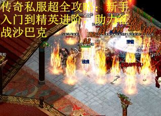 传奇私服超全攻略：新手入门到精英进阶，助力征战沙巴克