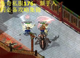 传奇私服176：新手入门必备攻略集锦