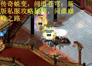 传奇蜕变，问道苍穹：新版私服攻略秘籍，问鼎巅峰之路