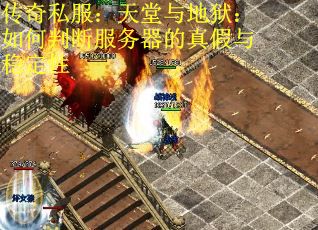 传奇私服：天堂与地狱：如何判断服务器的真假与稳定性
