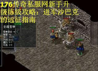 176传奇私服网新手升级练级攻略：进军沙巴克的远征指南