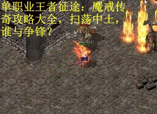 单职业王者征途：魔戒传奇攻略大全，扫荡中土，谁与争锋？