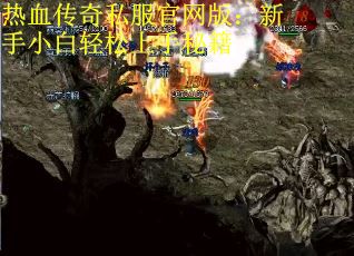 热血传奇私服官网版：新手小白轻松上手秘籍