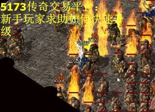 5173传奇交易平台：新手玩家求助如何快速升级