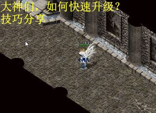 大神们，如何快速升级？技巧分享