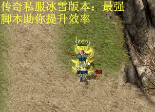 传奇私服冰雪版本：最强脚本助你提升效率