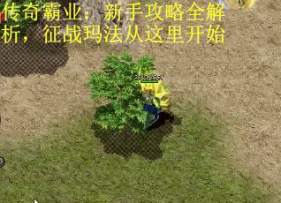 传奇霸业：新手攻略全解析，征战玛法从这里开始