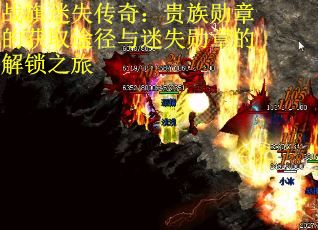 战旗迷失传奇：贵族勋章的获取途径与迷失勋章的解锁之旅
