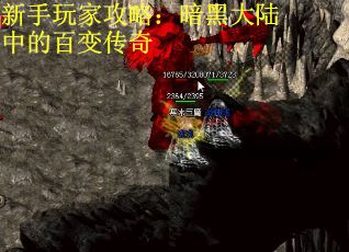 新手玩家攻略：暗黑大陆中的百变传奇