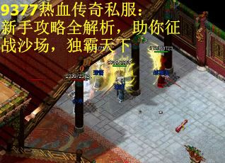 9377热血传奇私服：新手攻略全解析，助你征战沙场，独霸天下