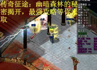 传奇征途：幽暗森林的秘密揭开，最强攻略等你来取