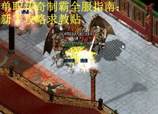 单职传奇制霸全服指南：新手攻略求教贴
