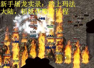 新手屠龙实录：踏上玛法大陆，斩妖伏魔的征程
