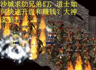 沙城求助兄弟们，道士如何快速升级和赚钱？大神支招！