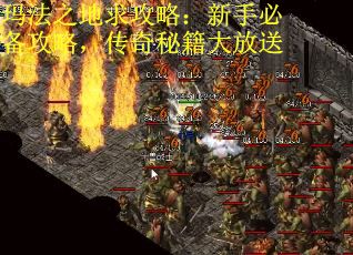 玛法之地求攻略：新手必备攻略，传奇秘籍大放送