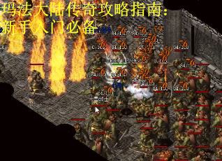 玛法大陆传奇攻略指南：新手入门必备