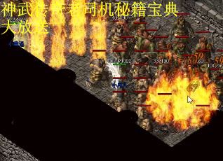 神武传奇老司机秘籍宝典大放送