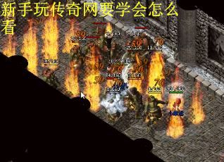 新手玩传奇网要学会怎么看