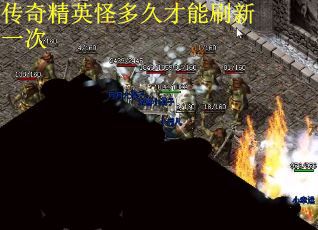 传奇精英怪多久才能刷新一次