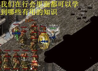 我们在行会里面都可以学到哪些有用的知识