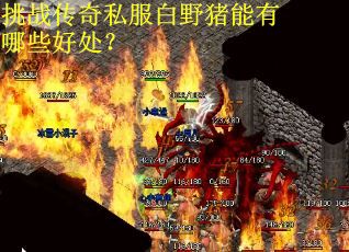 挑战传奇私服白野猪能有哪些好处？