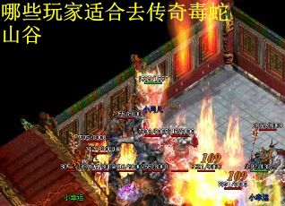 哪些玩家适合去传奇毒蛇山谷