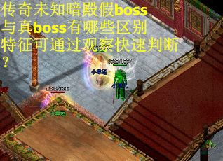 传奇未知暗殿假boss与真boss有哪些区别特征可通过观察快速判断？