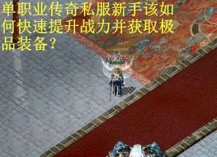 单职业传奇私服新手该如何快速提升战力并获取极品装备？