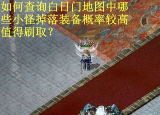如何查询白日门地图中哪些小怪掉落装备概率较高值得刷取？