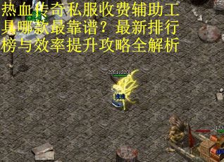 热血传奇私服收费辅助工具哪款最靠谱？最新排行榜与效率提升攻略全解析
