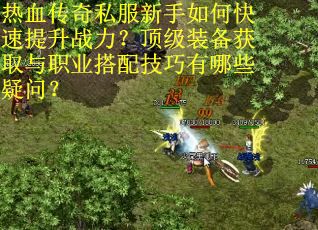 热血传奇私服新手如何快速提升战力？顶级装备获取与职业搭配技巧有哪些疑问？