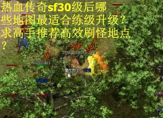 热血传奇sf30级后哪些地图最适合练级升级？求高手推荐高效刷怪地点？