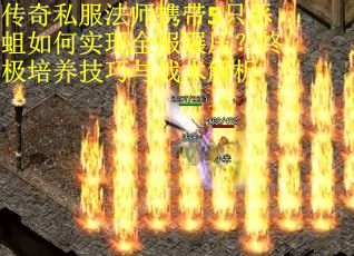 传奇私服法师携带5只恶蛆如何实现全服碾压？终极培养技巧与战术解析