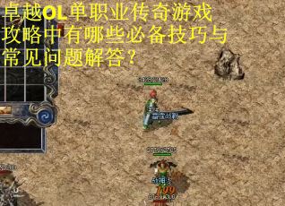 卓越OL单职业传奇游戏攻略中有哪些必备技巧与常见问题解答？